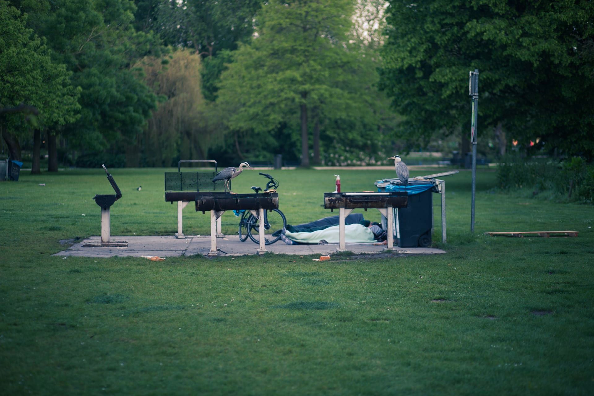 Veldwerk — documentaire reportage GGD Amsterdam